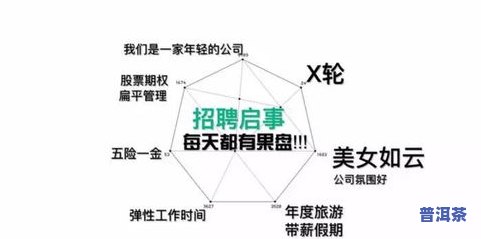 茶叶会过期吗？可以存放多久？影响因素与保存方法解析