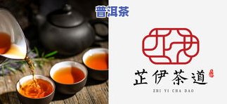 普洱茶标签冲泡图片大全高清展示，一览标签样式