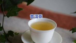 普洱茶蒸煮比例：高好还是低好？探讨更佳蒸煮方法与口感