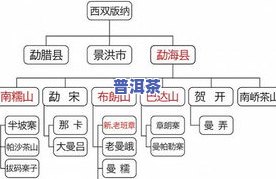 全面解析：普洱茶种类与等级的区别及划分