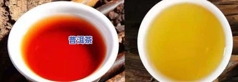 普洱茶属于哪种类型？绿茶、黑茶还是红茶？