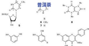 茶叶含不含碳水？全面解析茶叶的碳水化合物含量