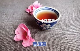 普洱茶提神醒脑吗？真相大揭秘！效果怎样？正确冲泡方法分享