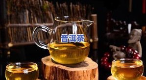 普洱茶水是否适合浇植物？视频与图片解析