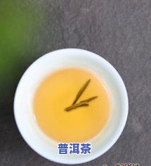 茶叶能不能消化？详解其作用与效果