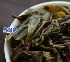 易武普洱茶生茶价格2017全年度行情分析及饼价一览