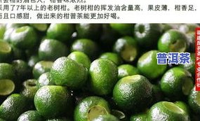 云南小青柑普洱茶生产基地-云南小青柑普洱茶生产基地在哪里