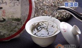 老同志普洱茶是凉性吗-老同志普洱茶好吗