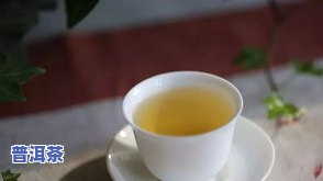 云南临沧普洱茶：特点、口感及茶区详解，是否好喝？