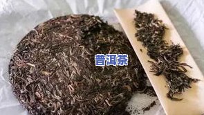 普洱冰岛茶饼：价格全览与产地介绍