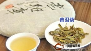 老班章普洱茶：含义、来源、特点与功效，多少钱一盒？