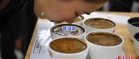 云南普洱茶：哪种产品更好？探讨其类别、特点及所属系列