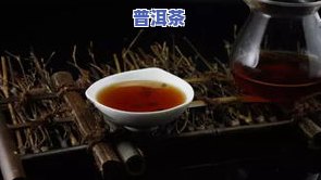 生普洱茶和熟普洱茶哪个好喝？比较二者的口感、优缺点及功效