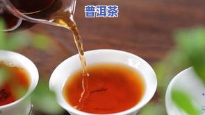 生普洱茶和熟普洱茶哪个好喝？比较二者的口感、优缺点及功效