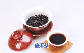 血脂高女性喝普洱茶有用吗？如何正确饮用？