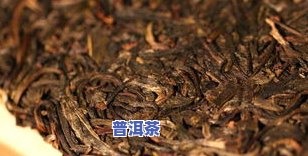 普洱茶长金花了，你还敢喝吗？看图对比，一目了然！