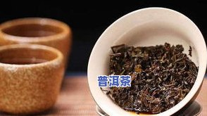 经典的普洱茶种类介绍：你不可错过的几款代表性茶叶