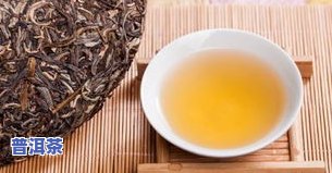 经典的普洱茶种类介绍：你不可错过的几款代表性茶叶