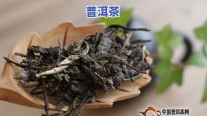 家有普洱茶-家藏普洱茶