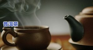 普洱茶密封存放多久不能喝-普洱茶密封存放多久不能喝了