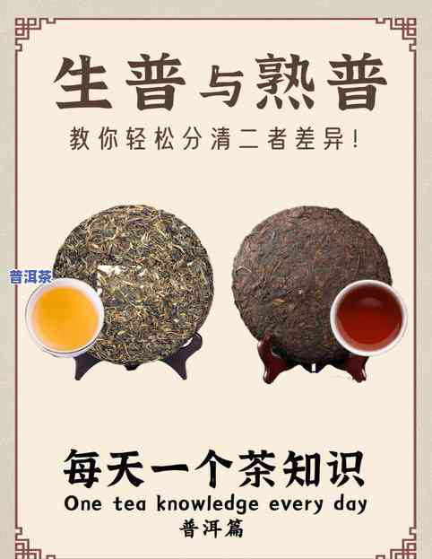 普洱茶是什么发酵工艺？详解其制作过程与分类