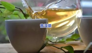 胃凉了疼能喝普洱茶吗？女性适用吗？