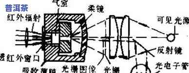 普洱茶促消化的原理与作用解析