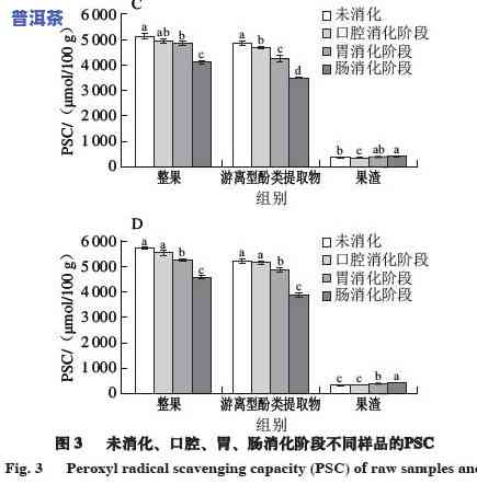 普洱茶促消化的原理和作用解析