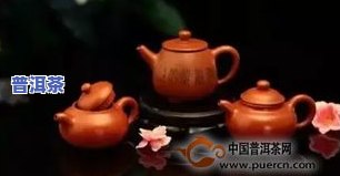 普洱茶能促消化？科学解析其对女性的影响及原因