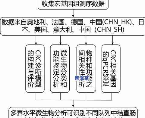 普洱茶促消化的原理和作用-普洱茶促消化的原理和作用是什么