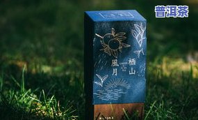 橙皮普洱茶包装-橙皮普洱茶包装图片