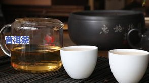 一杯普洱茶图片大全：高清、唯美、大图全收录