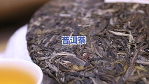 古树普洱茶为何稀缺？价格昂贵的起因是什么？是不是适合饮用？全面解析古树普洱茶优缺点