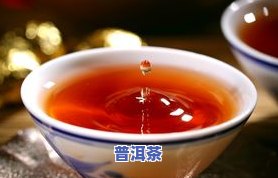 古树普洱茶为何稀缺？价格昂贵的原因是什么？是否适合饮用？全面解析古树普洱茶优缺点