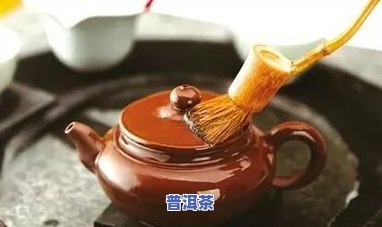 普洱茶洗茶步骤详解：最干净、更好的方法与技巧