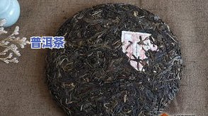 古树普洱茶真的很少吗-古树普洱茶真的很少吗