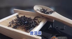 红茶发酵全过程手工视频教程