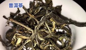 熟普洱茶的外形特征是什么？详解其特别的外观特点