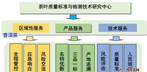 茶叶能一直泡着喝吗？影响因素与安全探讨