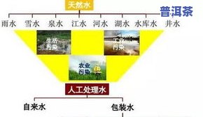 茶叶能一直泡着喝吗？影响因素与安全探讨