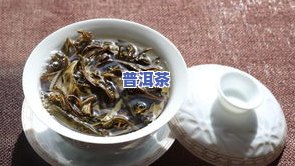 普洱茶冲泡几克更好？视频教程，教您正确冲泡方法