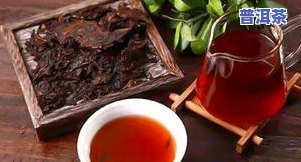 深圳顶级普洱茶排行榜：揭秘深圳更优秀的普洱茶专卖店