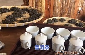 七彩云南普洱茶：品种、品质、价格全解析