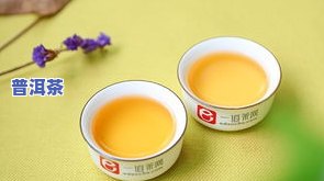 传承普洱茶特点-传承普洱茶特点是什么