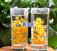 铁皮石斛茶叶怎么泡-铁皮石斛茶叶怎么泡好喝