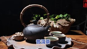 川贝泡茶喝行吗？正确泡法及用量介绍