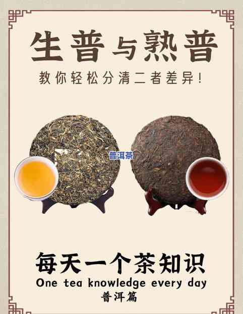 普洱茶原料-普洱茶原料有哪些