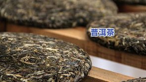 福鼎普洱茶饼价格全揭秘：饼、斤、个、包、砖，一次告诉你！