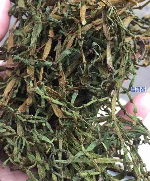 老年人喝普洱茶的好处与功效：全面解析