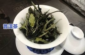 普洱茶福鼎-普洱茶福鼎白茶